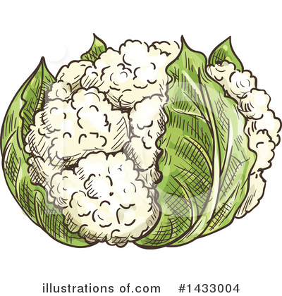 Cauliflower Clipart #1433004 by Vector Tradition SM