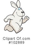 Rabbit Clipart #102889 by Cory Thoman
