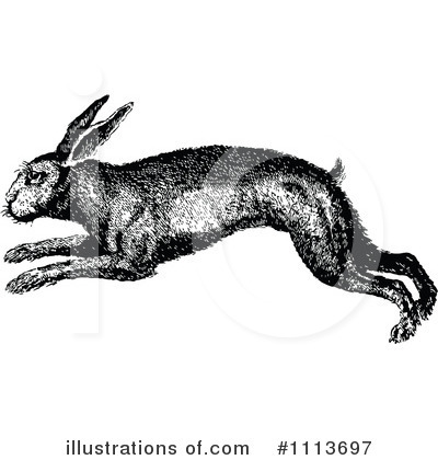 Bunny Clipart #1113697 by Prawny Vintage