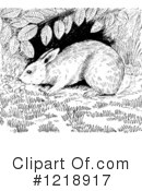 Rabbit Clipart #1218917 by Picsburg