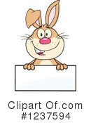 Rabbit Clipart #1237594 by Hit Toon