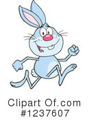 Rabbit Clipart #1237607 by Hit Toon
