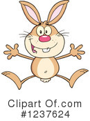 Rabbit Clipart #1237624 by Hit Toon