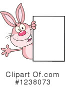 Rabbit Clipart #1238073 by Hit Toon