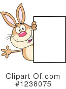 Rabbit Clipart #1238075 by Hit Toon