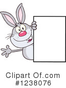 Rabbit Clipart #1238076 by Hit Toon
