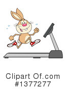 Rabbit Clipart #1377277 by Hit Toon