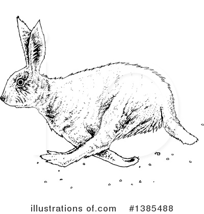 Rabbits Clipart #1385488 by lineartestpilot