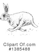 Rabbit Clipart #1385488 by lineartestpilot