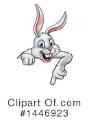 Rabbit Clipart #1446923 by AtStockIllustration