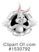 Rabbit Clipart #1530792 by AtStockIllustration