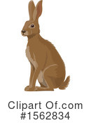 Rabbit Clipart #1562834 by Vector Tradition SM