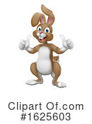 Rabbit Clipart #1625603 by AtStockIllustration