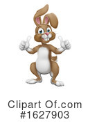 Rabbit Clipart #1627903 by AtStockIllustration