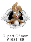 Rabbit Clipart #1631489 by AtStockIllustration