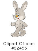 Rabbit Clipart #32455 by Alex Bannykh