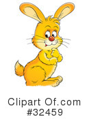 Rabbit Clipart #32459 by Alex Bannykh