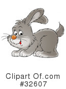 Rabbit Clipart #32607 by Alex Bannykh