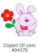 Rabbit Clipart #34072 by Hit Toon