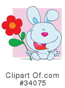 Rabbit Clipart #34075 by Hit Toon