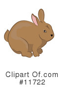 Rabbits Clipart #11722 by AtStockIllustration