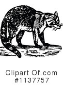 Raccoon Clipart #1137757 by Prawny Vintage