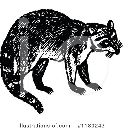 Royalty-Free (RF) Raccoon Clipart Illustration by Prawny Vintage - Stock Sample #1180243