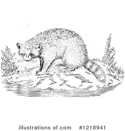 Royalty-Free (RF) Raccoon Clipart Illustration by Picsburg - Stock Sample #1218941