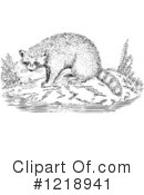 Raccoon Clipart #1218941 by Picsburg