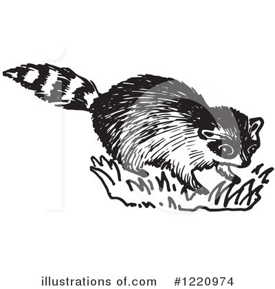 Royalty-Free (RF) Raccoon Clipart Illustration by Picsburg - Stock Sample #1220974