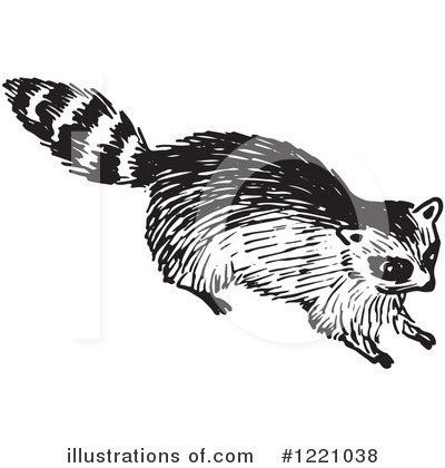 Royalty-Free (RF) Raccoon Clipart Illustration by Picsburg - Stock Sample #1221038