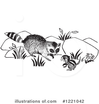 Royalty-Free (RF) Raccoon Clipart Illustration by Picsburg - Stock Sample #1221042