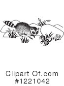 Raccoon Clipart #1221042 by Picsburg