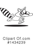 Raccoon Clipart #1434239 by toonaday