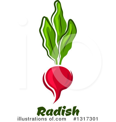 Royalty-Free (RF) Radish Clipart Illustration by Vector Tradition SM - Stock Sample #1317301