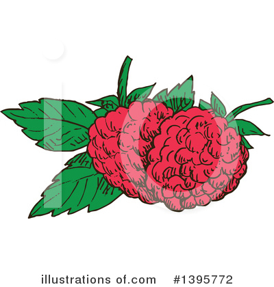 Royalty-Free (RF) Raspberry Clipart Illustration by Vector Tradition SM - Stock Sample #1395772