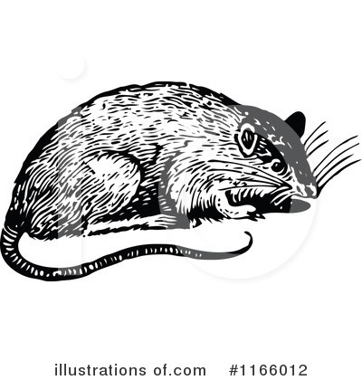 Rat Clipart #1166012 by Prawny Vintage