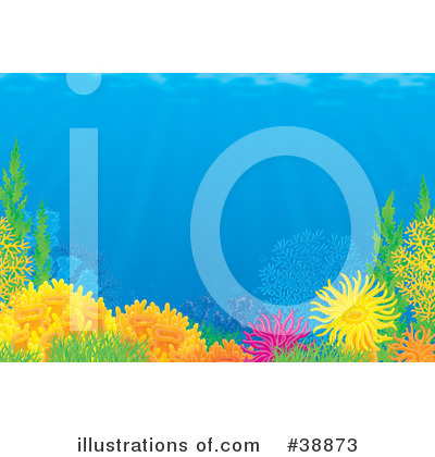 Sea Anemone Clipart #38873 by Alex Bannykh