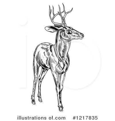 Stag Clipart #1217835 by AtStockIllustration