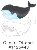 Right Whale Clipart #1125443 by Alex Bannykh