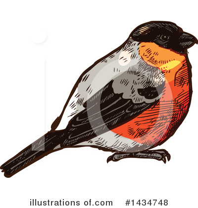 Robin Clipart #1434748 by Vector Tradition SM