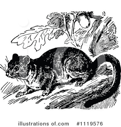 Royalty-Free (RF) Rodent Clipart Illustration by Prawny Vintage - Stock Sample #1119576