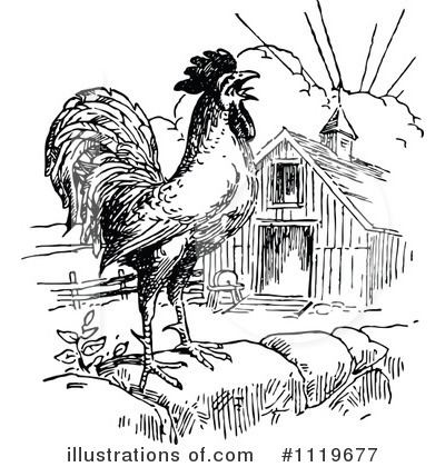 Roosters Clipart #1119677 by Prawny Vintage
