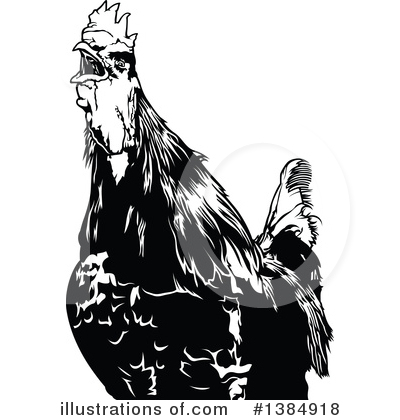 Rooster Clipart #1384918 by dero
