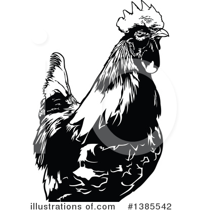 Royalty-Free (RF) Rooster Clipart Illustration by dero - Stock Sample #1385542