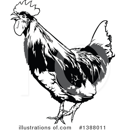 Roosters Clipart #1388011 by dero