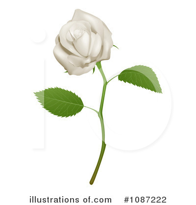 Royalty-Free (RF) Rose Clipart Illustration by AtStockIllustration - Stock Sample #1087222