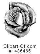 Rose Clipart #1436465 by AtStockIllustration