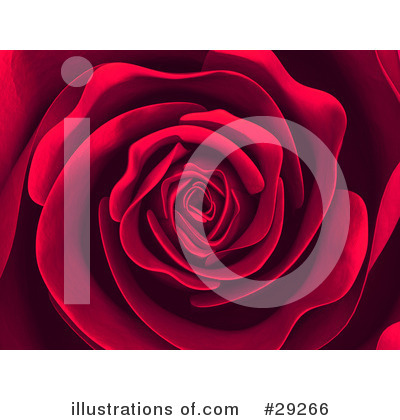 Red Rose Clipart #29266 by Tonis Pan