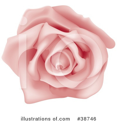 Royalty-Free (RF) Rose Clipart Illustration by dero - Stock Sample #38746